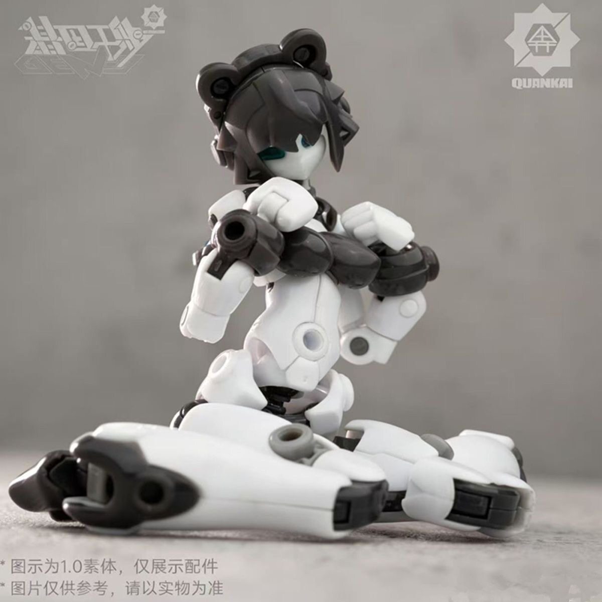 Kit Gene Interference Series Q - Model Kit China ulasan dan harga