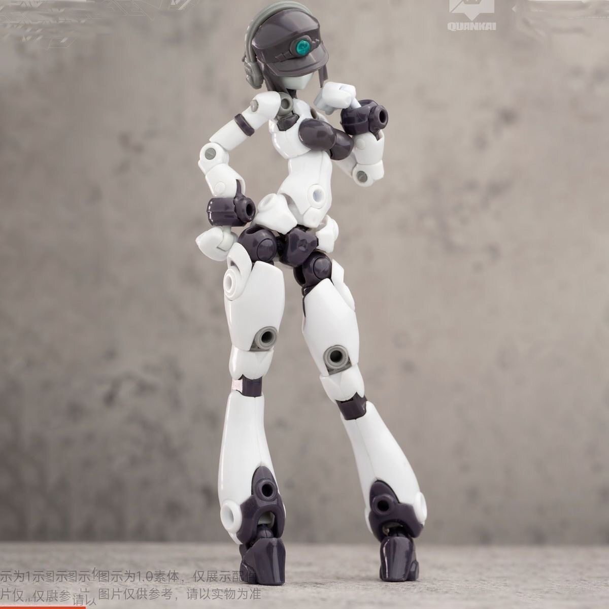 Kit Gene Interference Series Q - Model Kit China ulasan dan harga